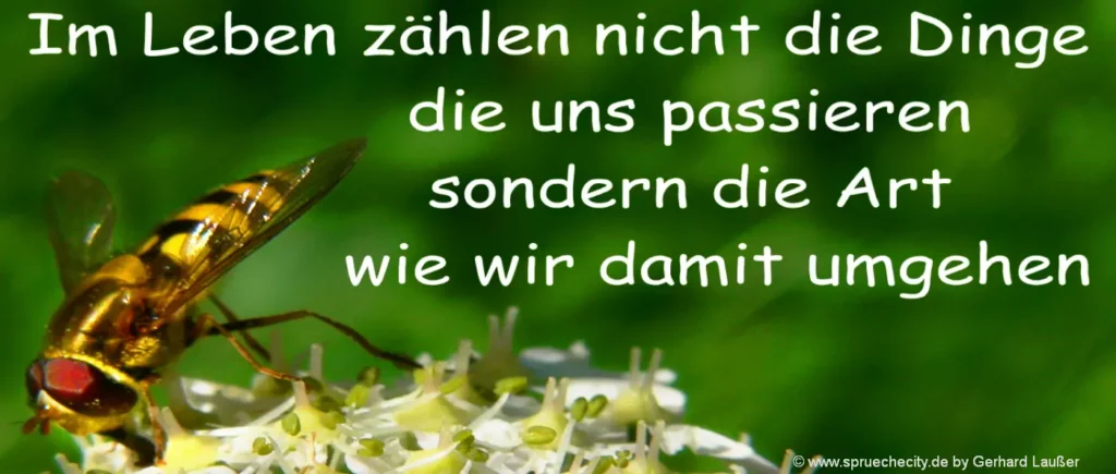 Kostenlose Genesungswünsche - Gratis Texte und Vorlagen