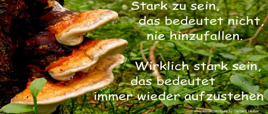 Vorlage Glückwunsch zur Genesung - Texte für Genesungswünsche